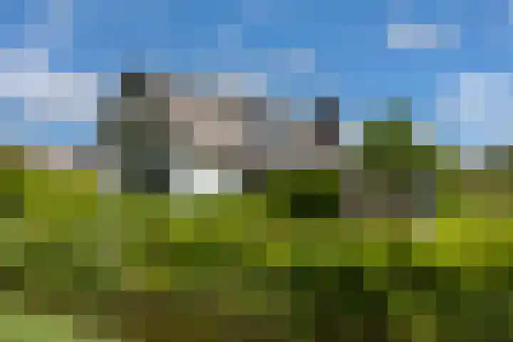 Beulakerweg 25 Giethoorn thumbnail 102