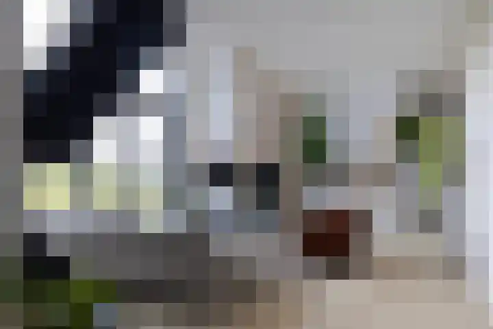 Beulakerweg 25 Giethoorn thumbnail 13