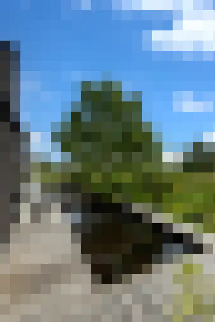Beulakerweg 25 Giethoorn thumbnail 26