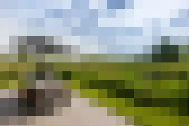 Beulakerweg 25 Giethoorn thumbnail 5