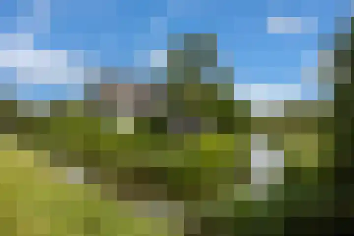 Beulakerweg 25 Giethoorn thumbnail 6