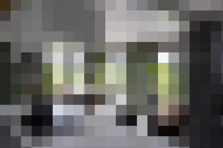 Beulakerweg 25 Giethoorn thumbnail 62