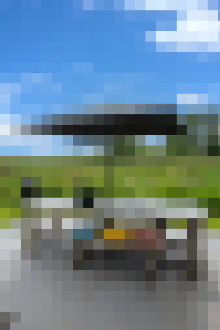Beulakerweg 25 Giethoorn thumbnail 72