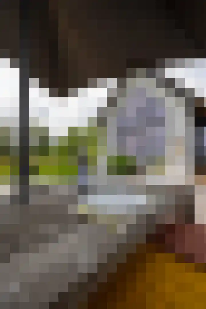 Beulakerweg 25 Giethoorn thumbnail 73