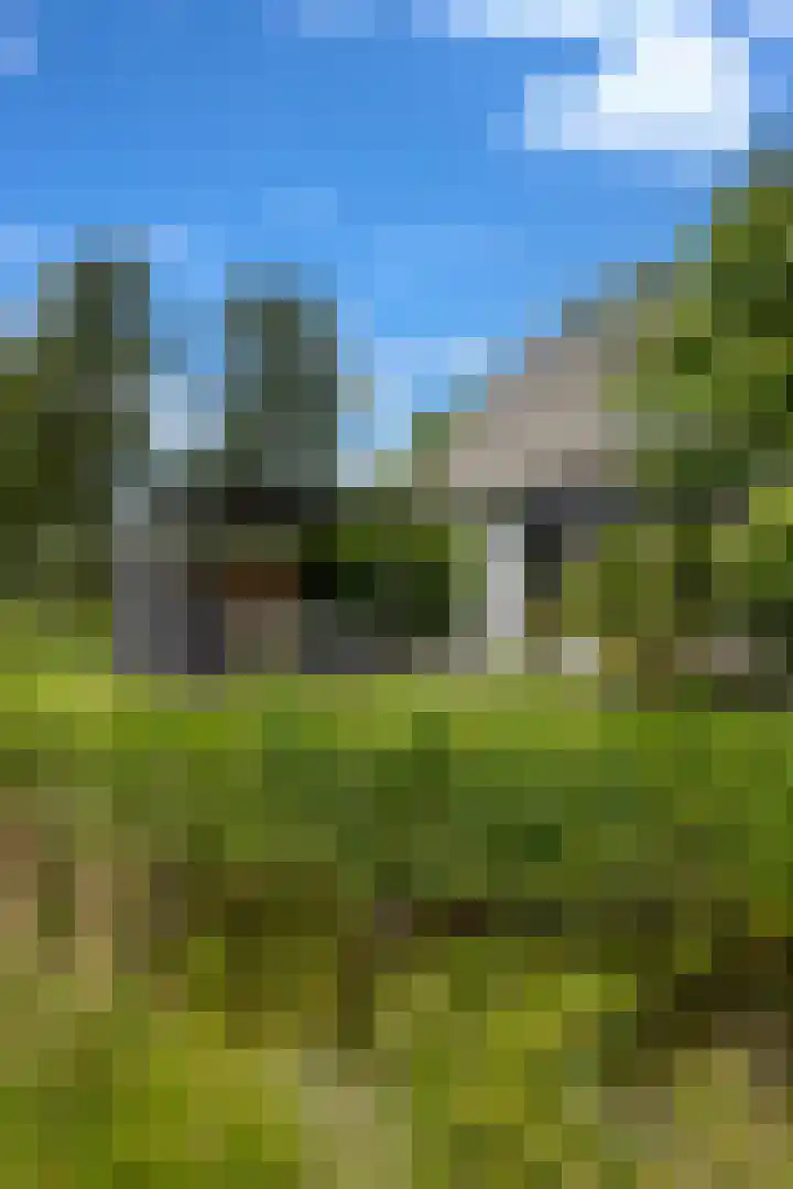 Beulakerweg 25 Giethoorn thumbnail 74