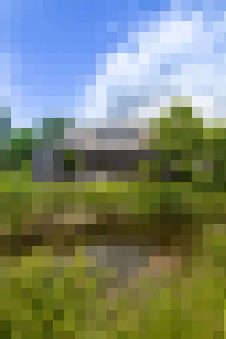 Beulakerweg 25 Giethoorn thumbnail 75