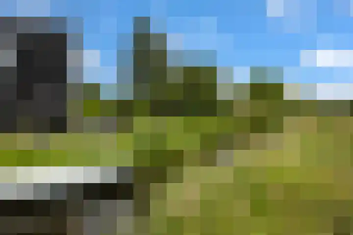 Beulakerweg 25 Giethoorn thumbnail 76