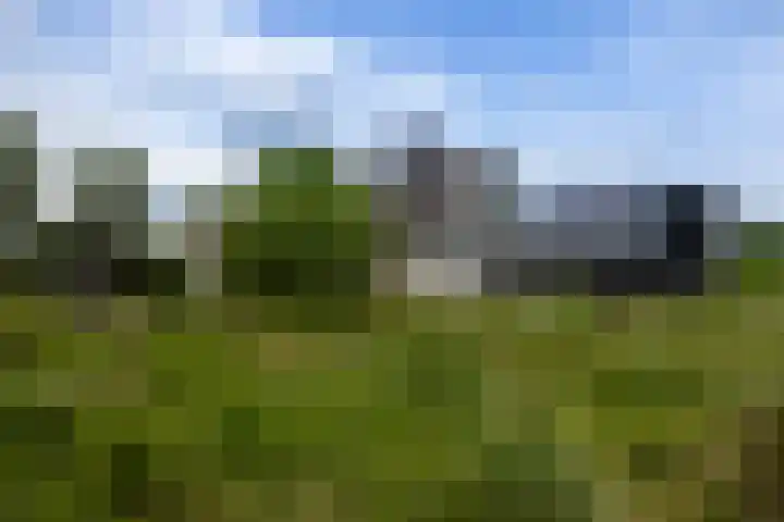 Beulakerweg 25 Giethoorn thumbnail 77