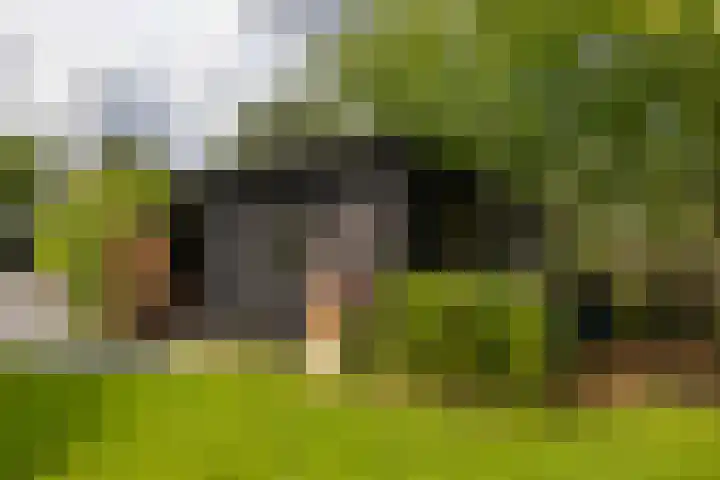 Beulakerweg 25 Giethoorn thumbnail 81
