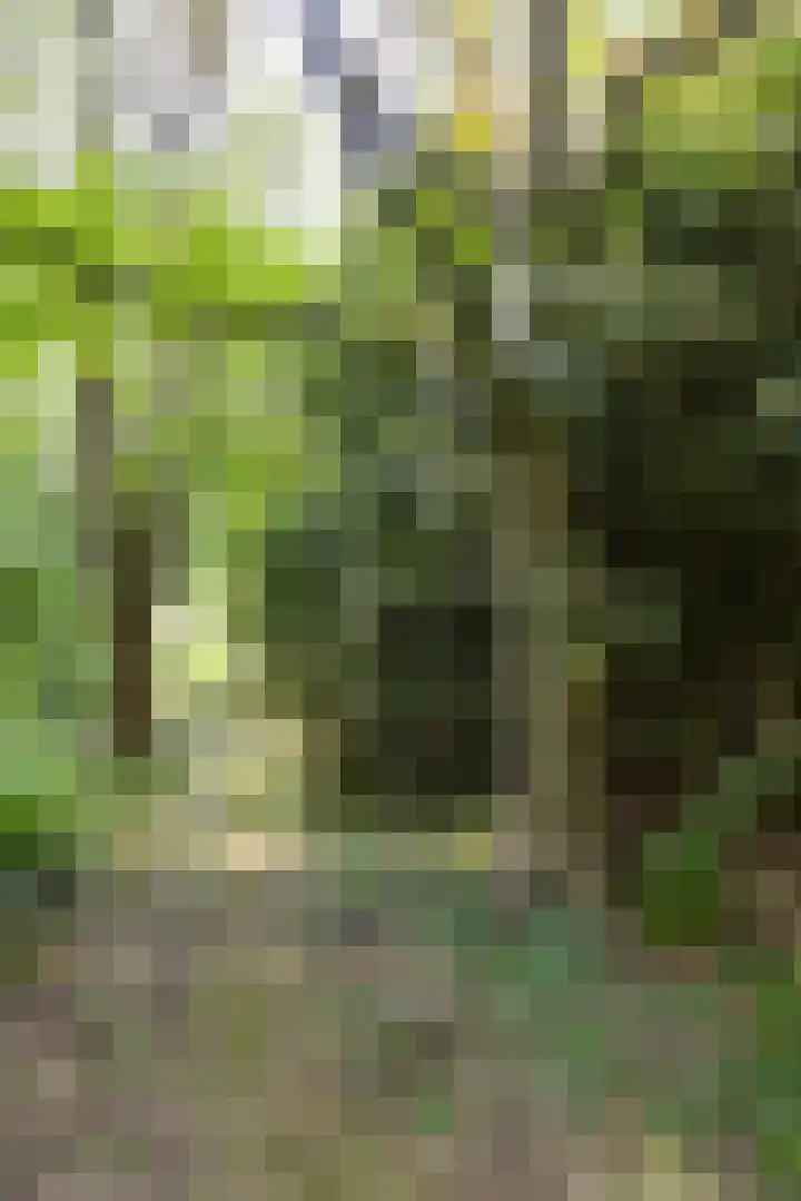 Beulakerweg 25 Giethoorn thumbnail 87