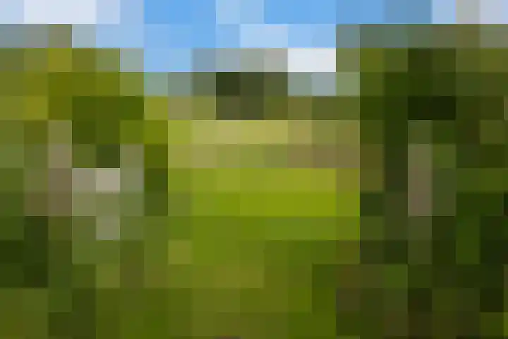 Beulakerweg 25 Giethoorn thumbnail 88