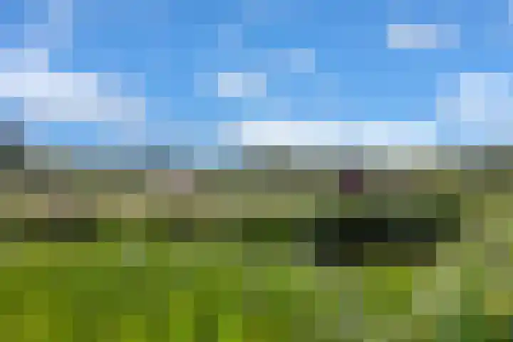 Beulakerweg 25 Giethoorn thumbnail 89