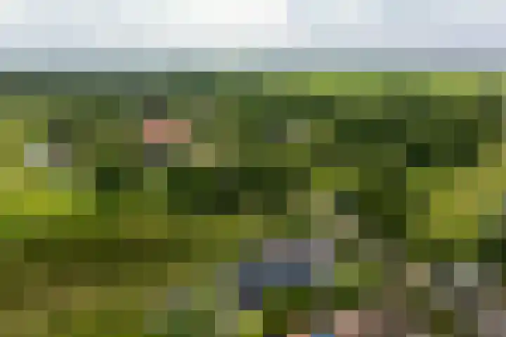 Beulakerweg 25 Giethoorn thumbnail 98