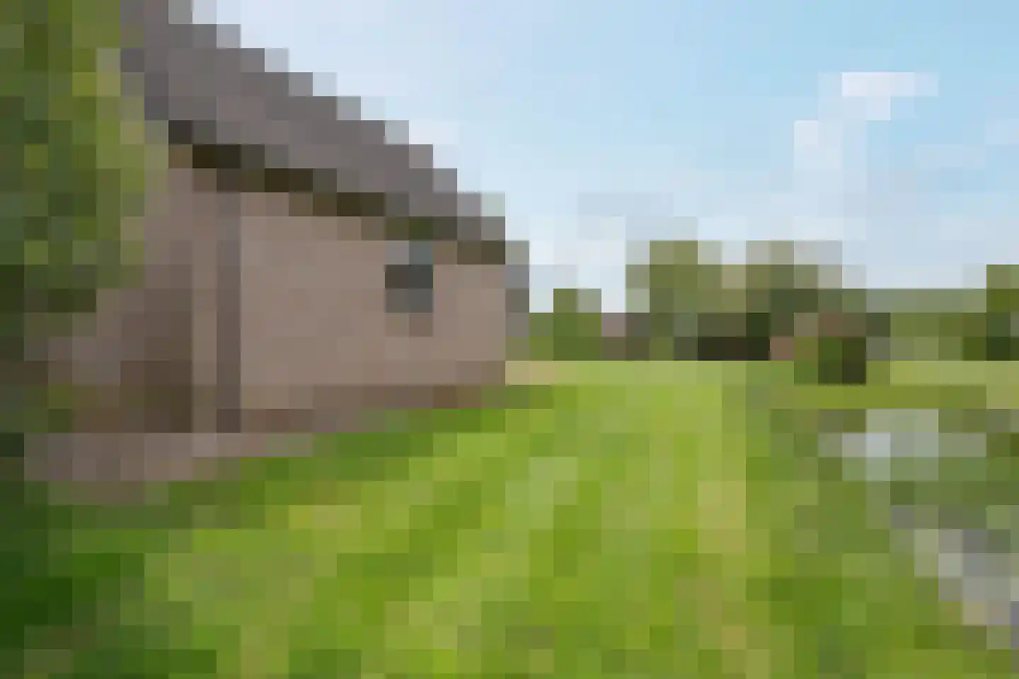 Beulakerweg 47 Giethoorn thumbnail 40
