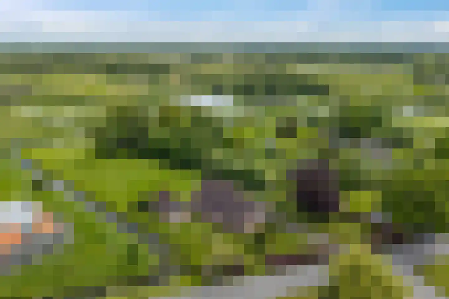 Beulakerweg 47 Giethoorn thumbnail 47