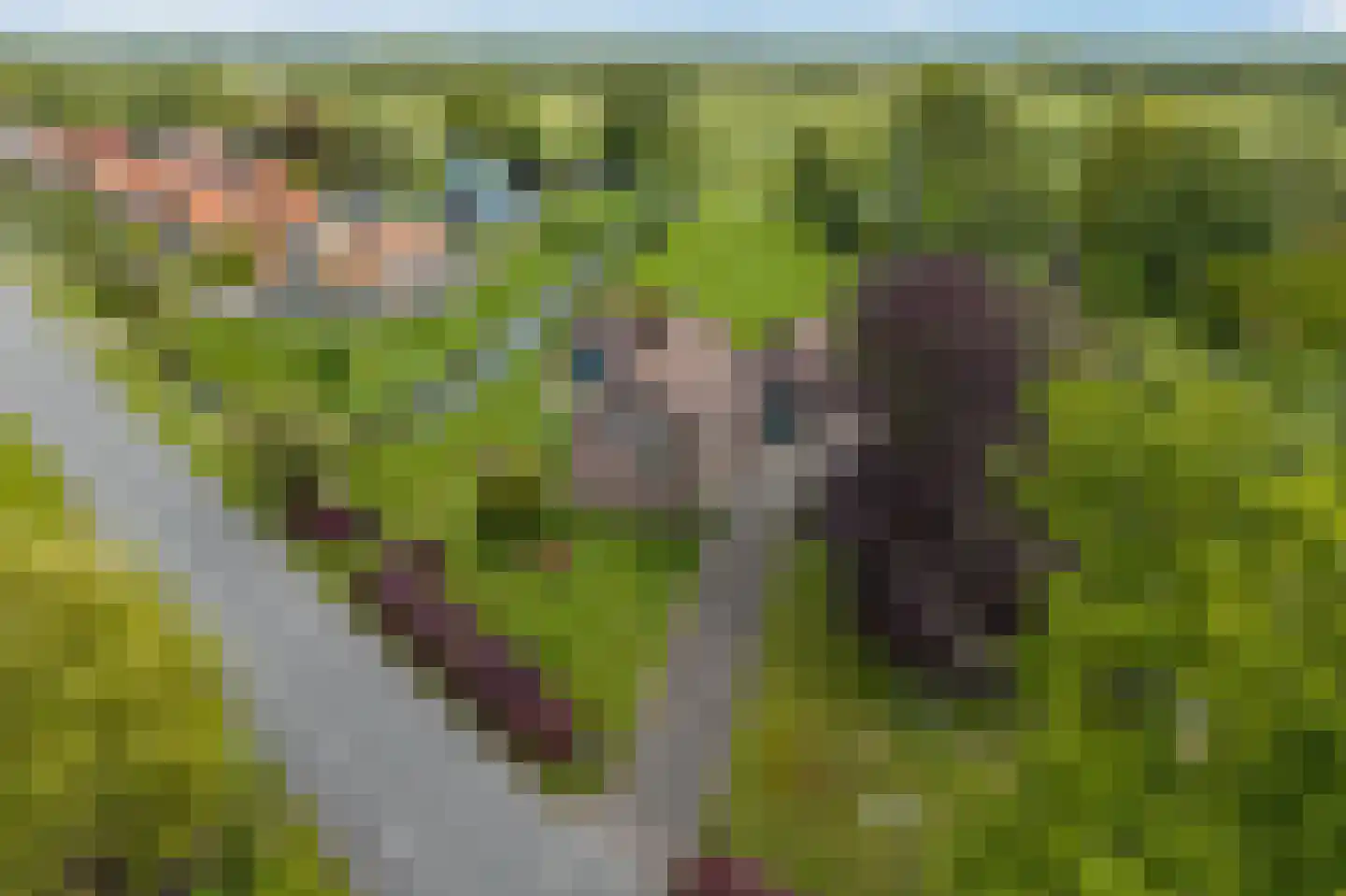 Beulakerweg 47 Giethoorn thumbnail 48
