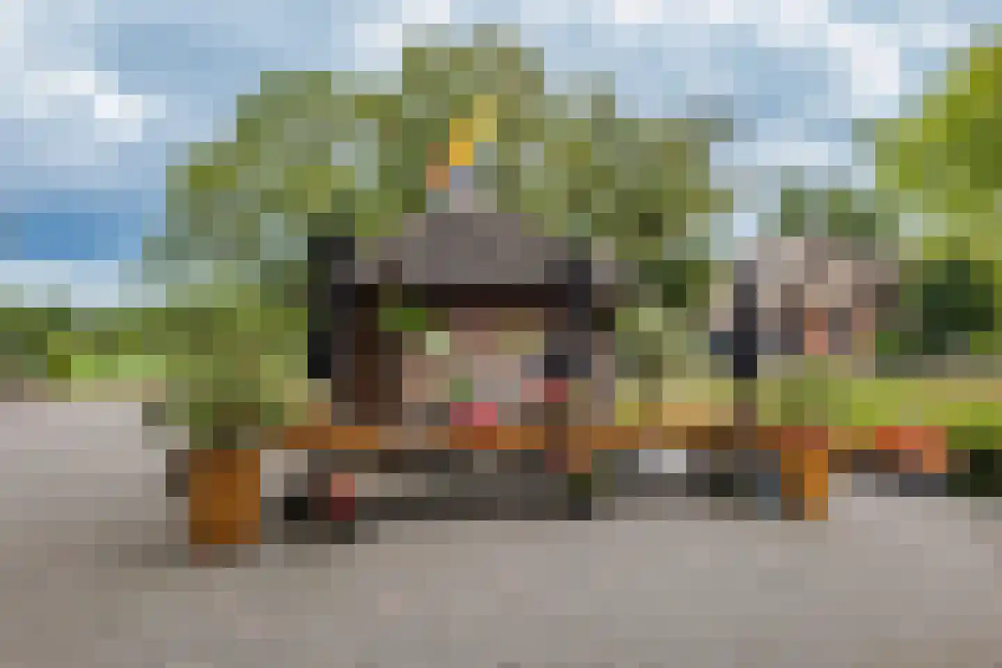 Beulakerweg 48 Giethoorn thumbnail 22