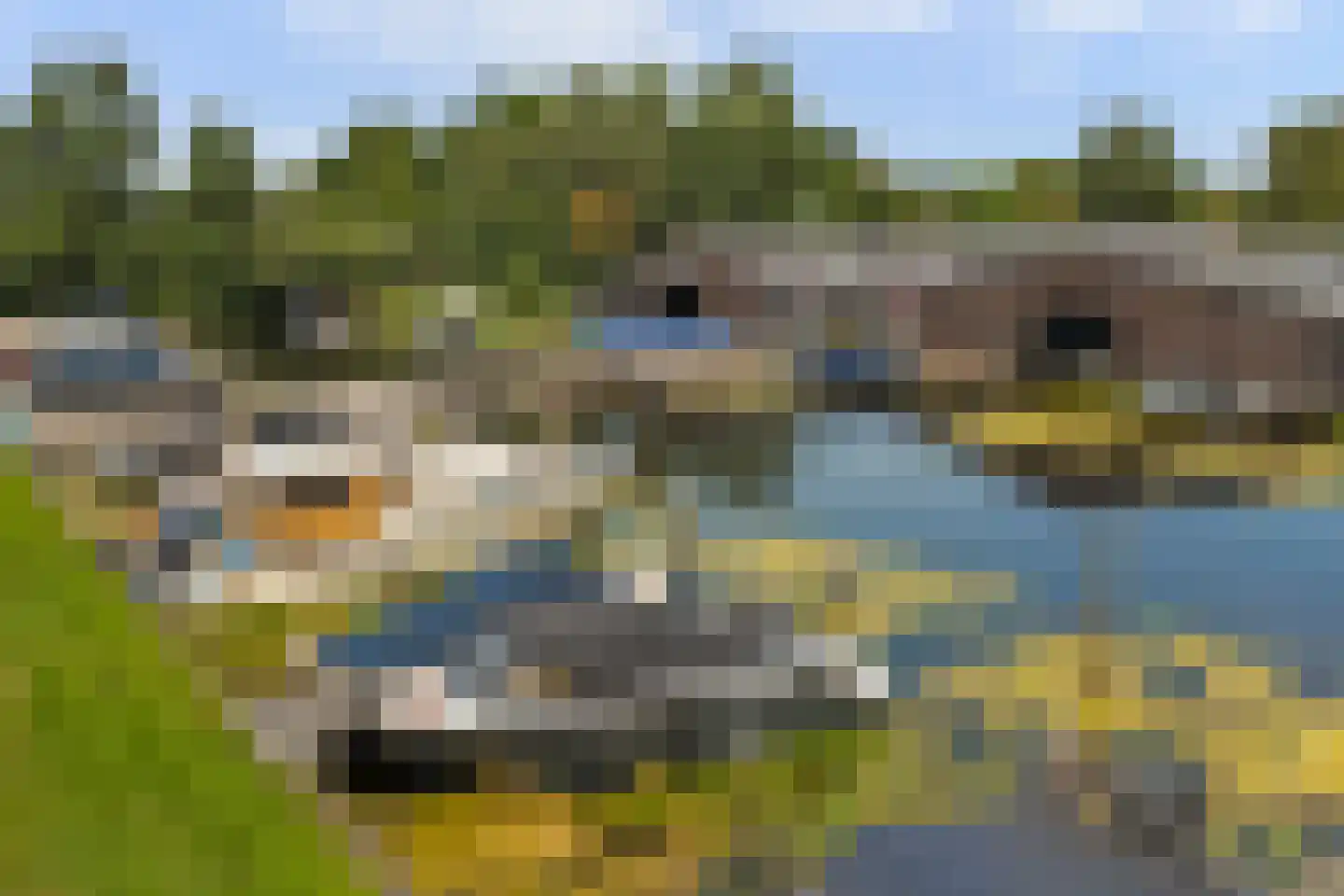 Beulakerweg 48 Giethoorn thumbnail 22