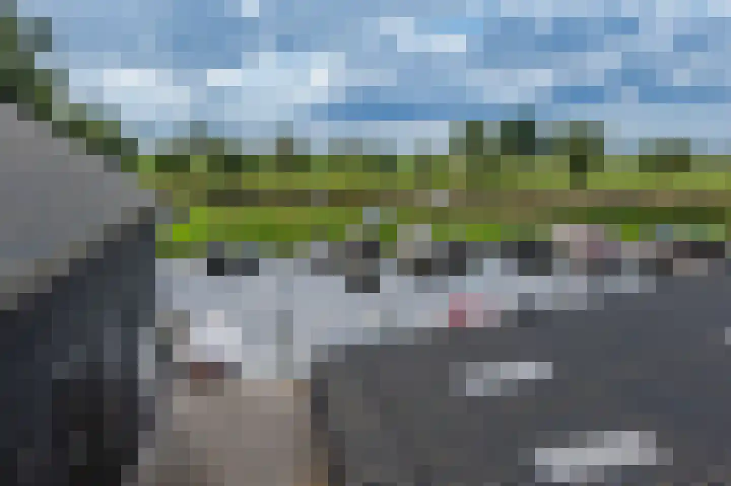 Beulakerweg 48 Giethoorn thumbnail 31