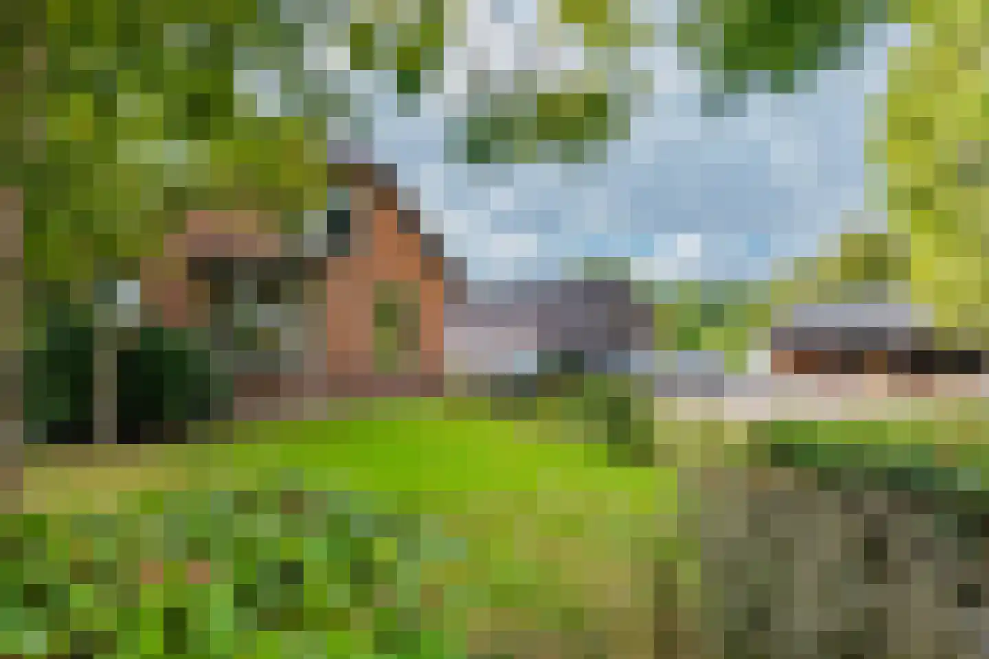 Beulakerweg 48 Giethoorn thumbnail 4