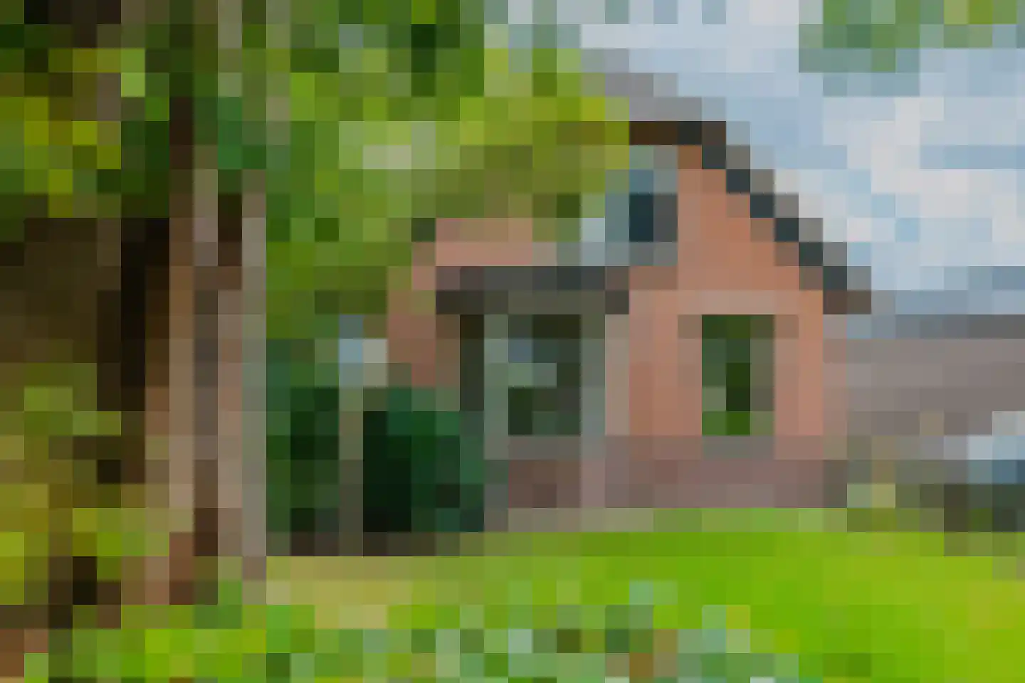 Beulakerweg 48 Giethoorn thumbnail 5