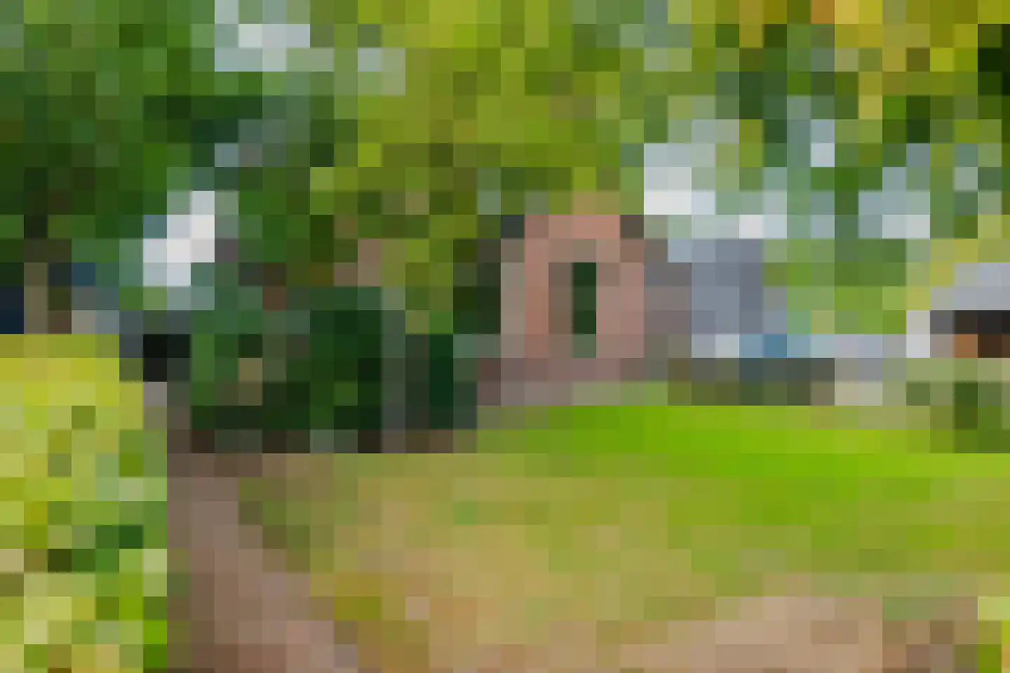 Beulakerweg 48 Giethoorn thumbnail 6