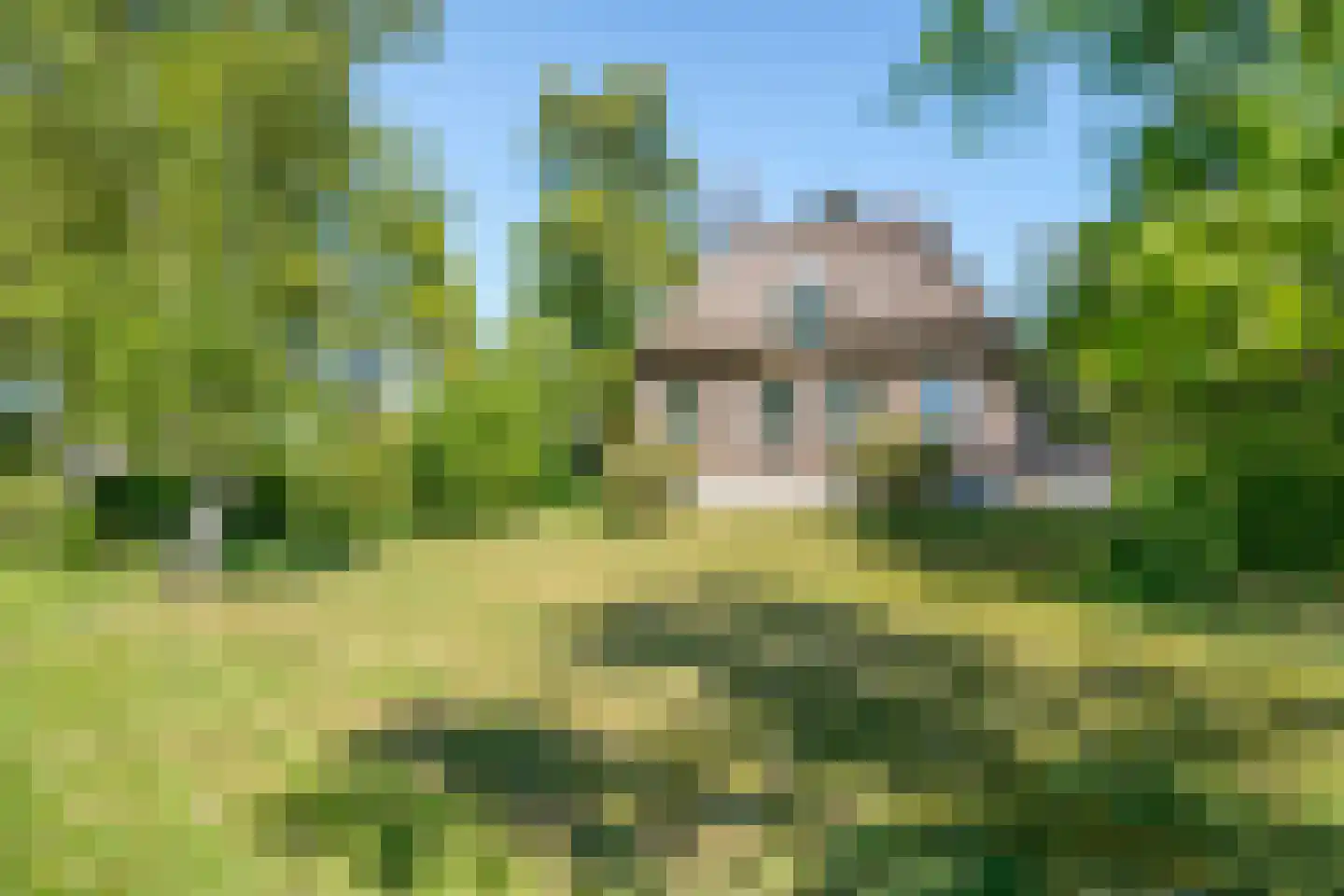 Beulakerweg 61 Giethoorn thumbnail 53