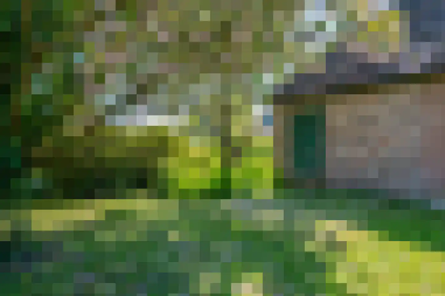 Beulakerweg 61 Giethoorn thumbnail 60
