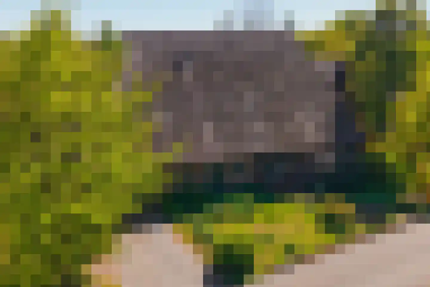 Beulakerweg 61 Giethoorn thumbnail 62