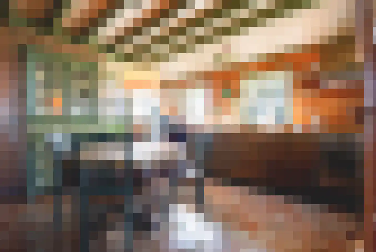 Beulakerweg 61 Giethoorn thumbnail 8
