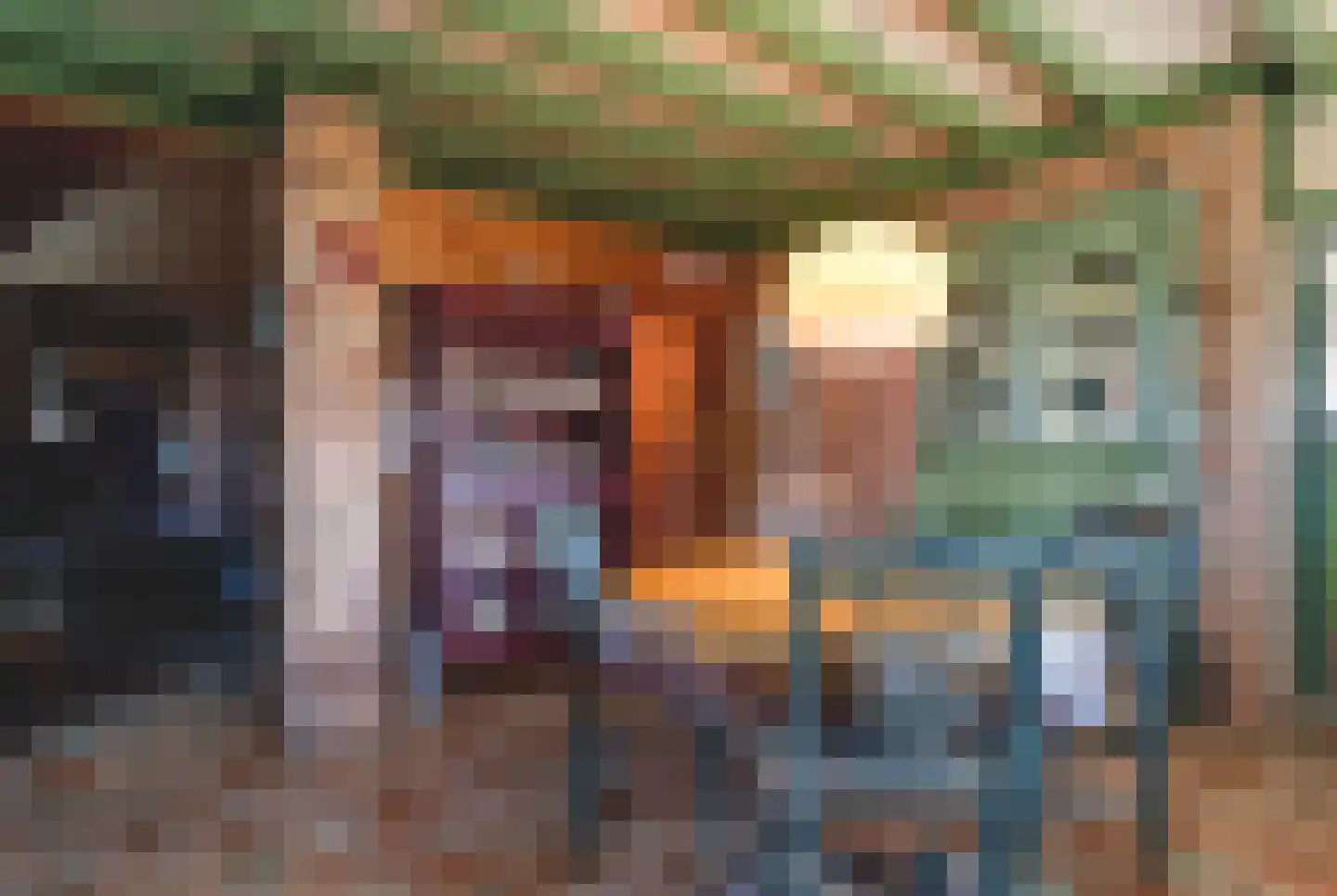 Beulakerweg 61 Giethoorn thumbnail 9