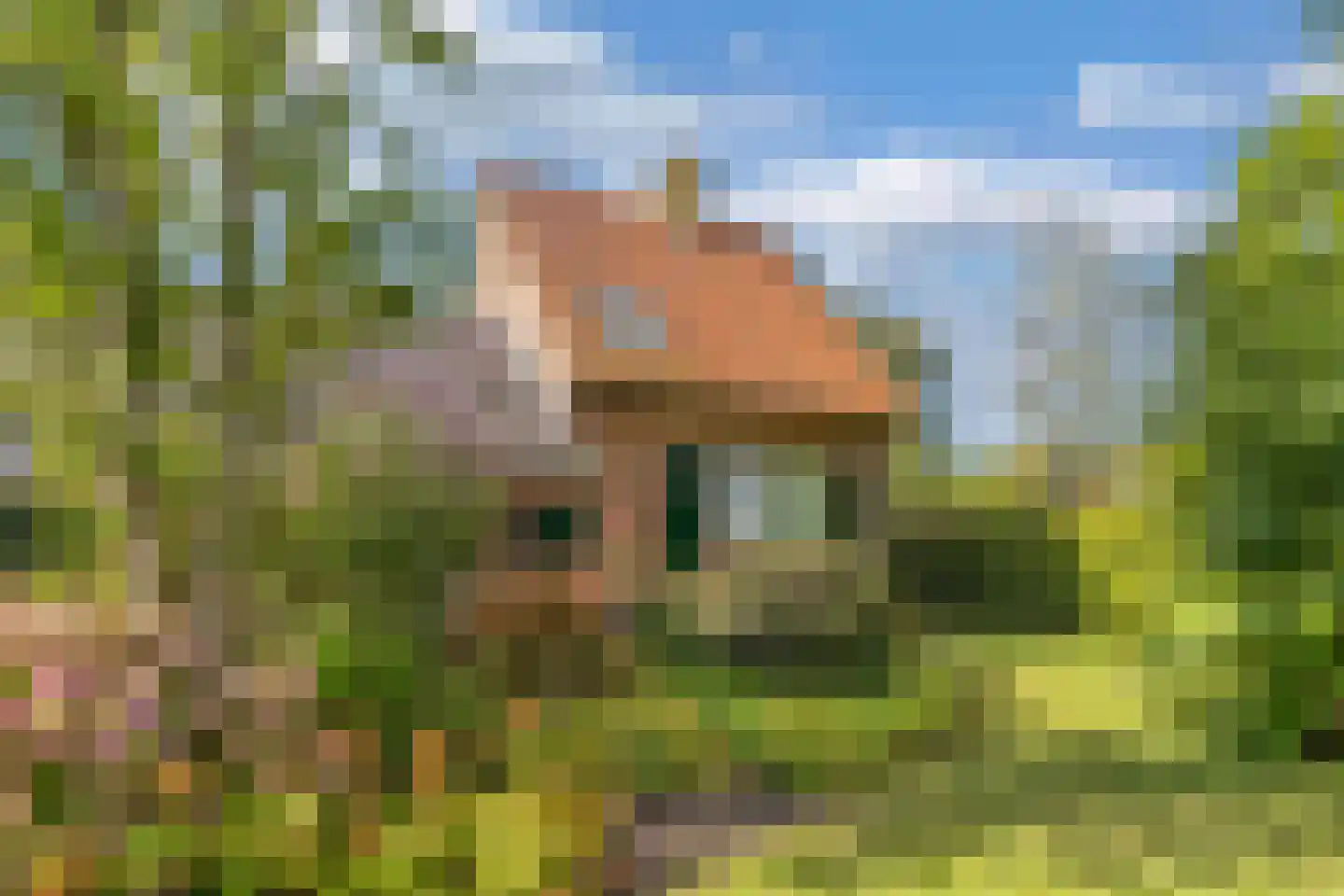 Beulakerweg 85 Giethoorn thumbnail 36