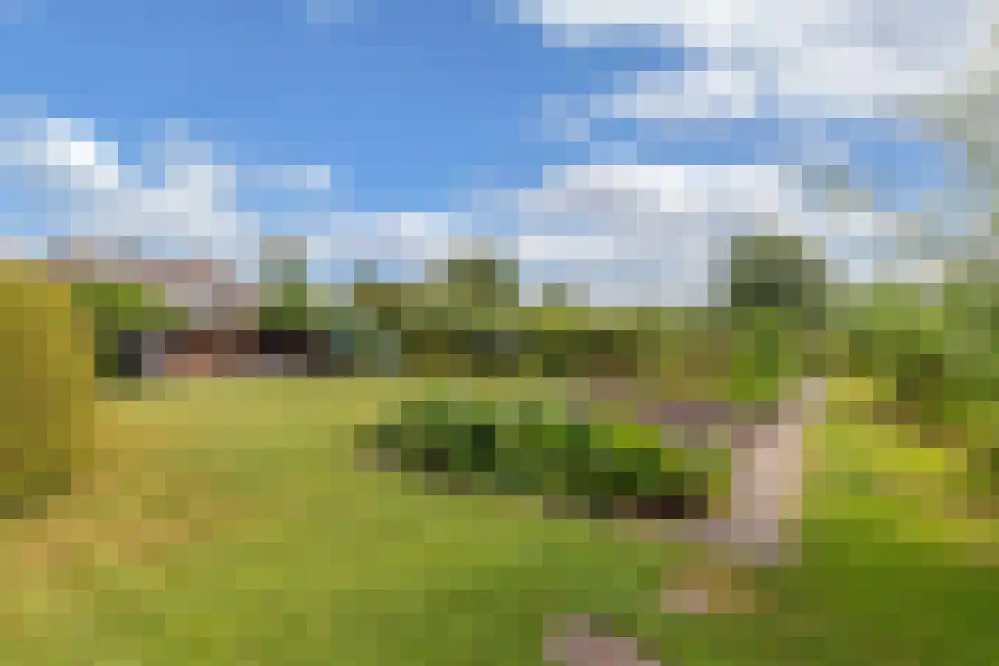 Beulakerweg 85 Giethoorn thumbnail 37