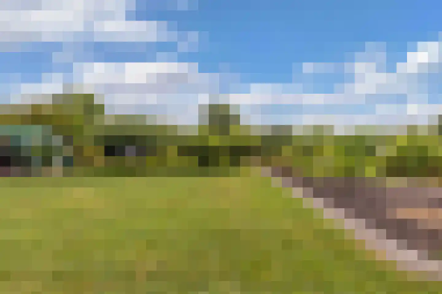 Beulakerweg 85 Giethoorn thumbnail 38