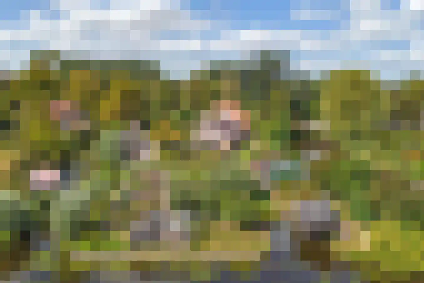 Beulakerweg 85 Giethoorn thumbnail 54