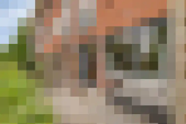 Beulakerwiede 10 Zwolle thumbnail 12