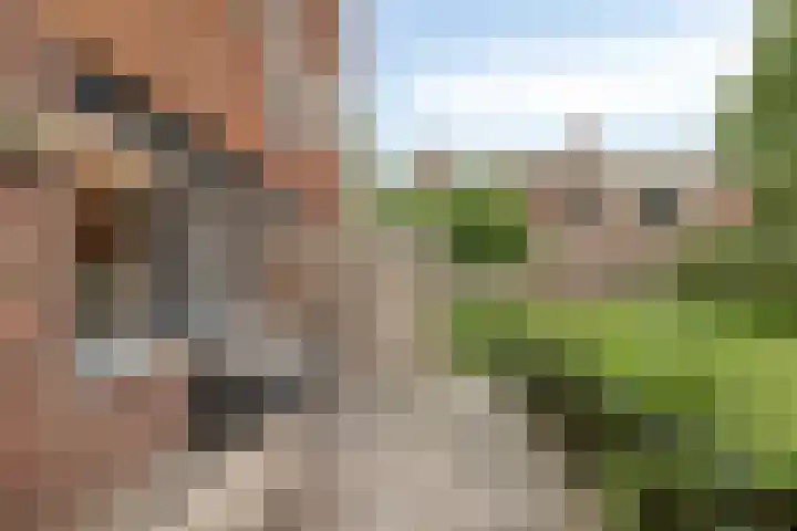 Beulakerwiede 10 Zwolle thumbnail 13