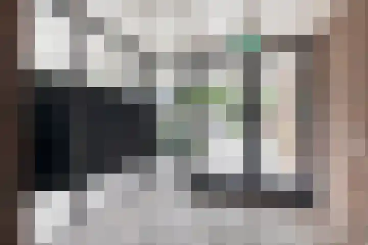 Beulakerwiede 10 Zwolle thumbnail 15
