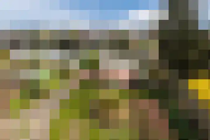 Beulakerwiede 17 Lelystad thumbnail 28