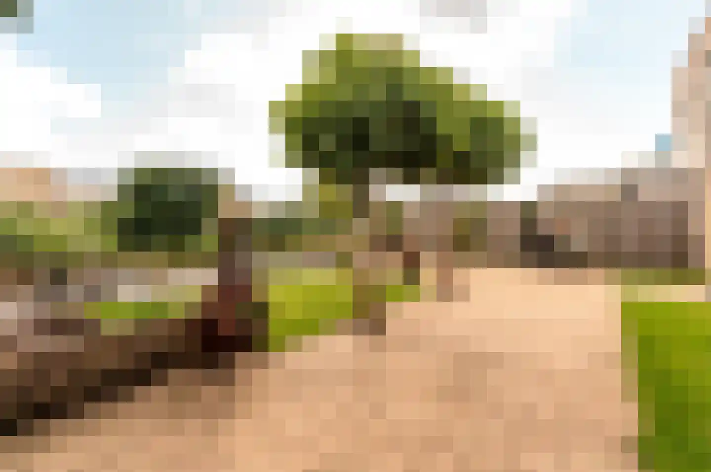 Beulakerwiede 21 Lelystad thumbnail 39