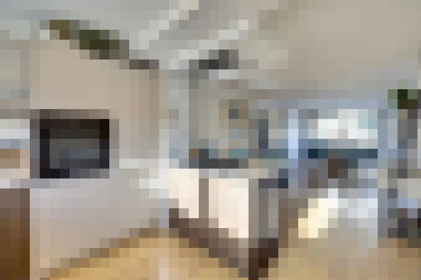 Beulakerwiede 22 Lelystad thumbnail 13