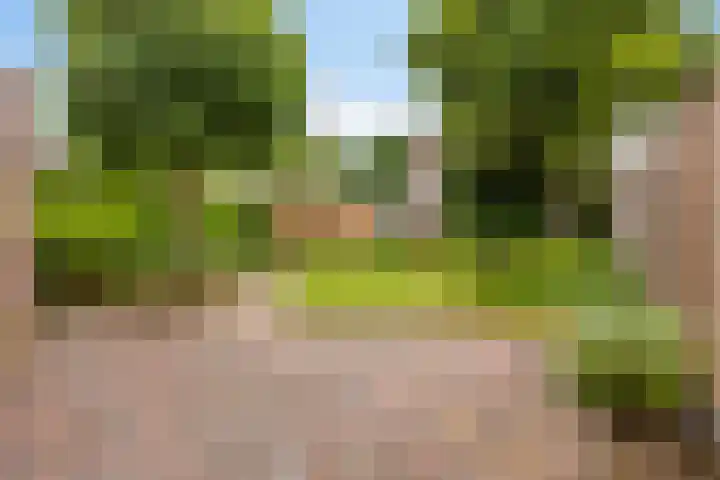 Beulakerwiede 26 Lelystad thumbnail 15