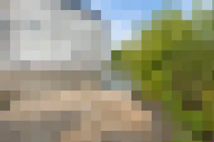 Beulakerwiede 26 Lelystad thumbnail 38