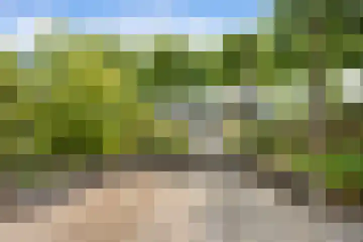 Beulakerwiede 26 Lelystad thumbnail 39