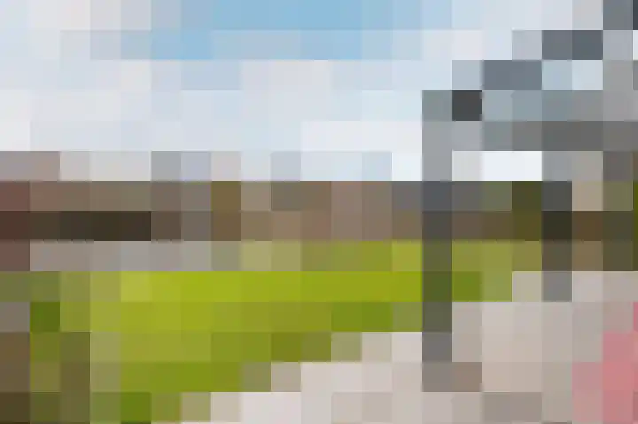 Beulakerwiede 3 Lelystad thumbnail 30