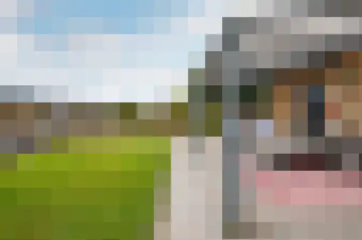 Beulakerwiede 3 Lelystad thumbnail 31