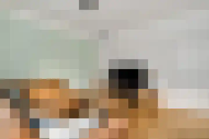 Beuldersweg 11 Nederweert thumbnail 11