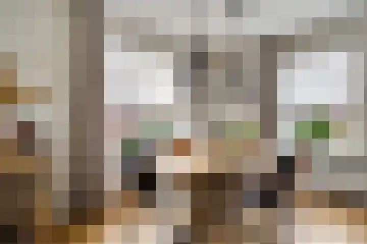 Beuldersweg 11 Nederweert thumbnail 13