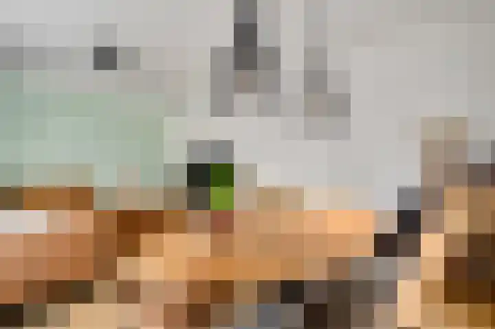 Beuldersweg 11 Nederweert thumbnail 15