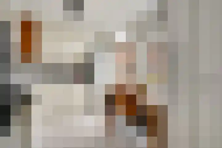 Beuldersweg 11 Nederweert thumbnail 16